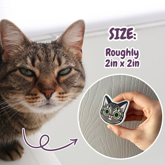 Custom Cat Magnets